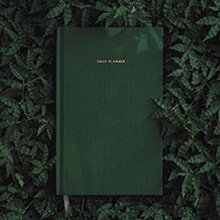 인스타그램연동